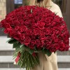 151 красная роза Эвер Ред 60 см