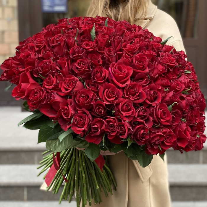 151 красная роза Эвер Ред 60 см