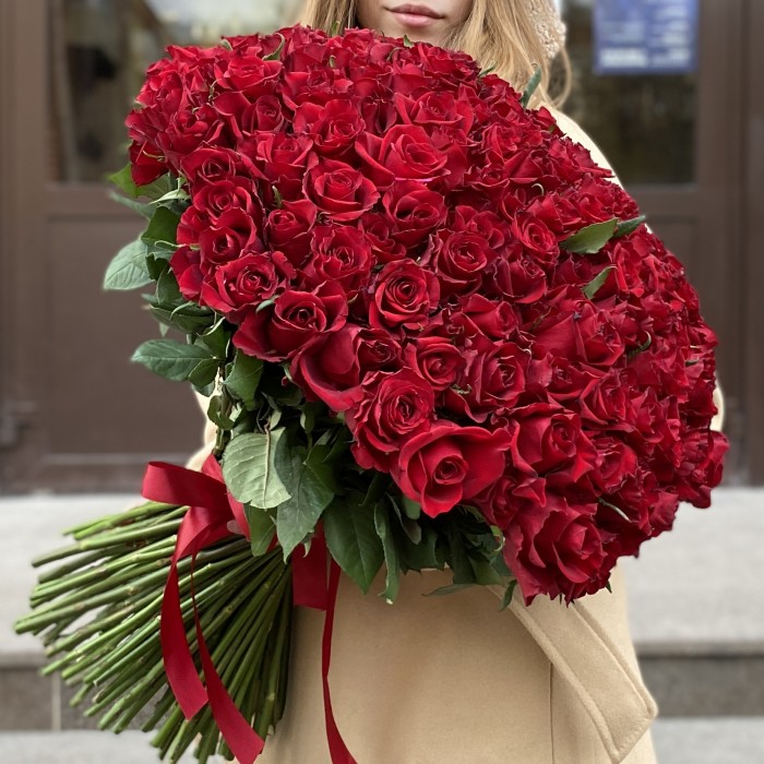 151 красная роза Эвер Ред 60 см