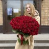 151 красная роза Эвер Ред 60 см