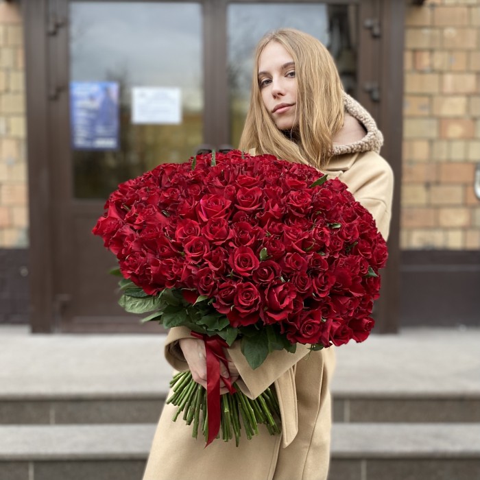 151 красная роза Эвер Ред 60 см