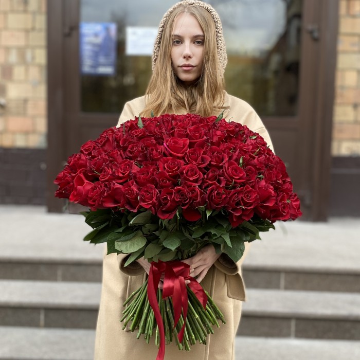 151 красная роза Эвер Ред 60 см