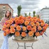 151 пышная оранжевая роза Фри Спирит в корзине