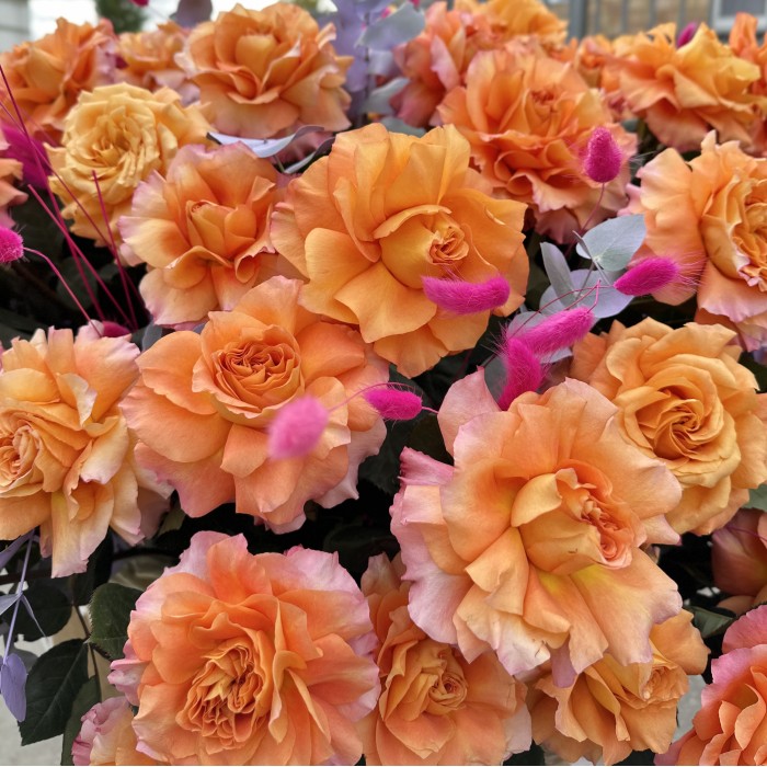 151 пышная оранжевая роза Фри Спирит в корзине