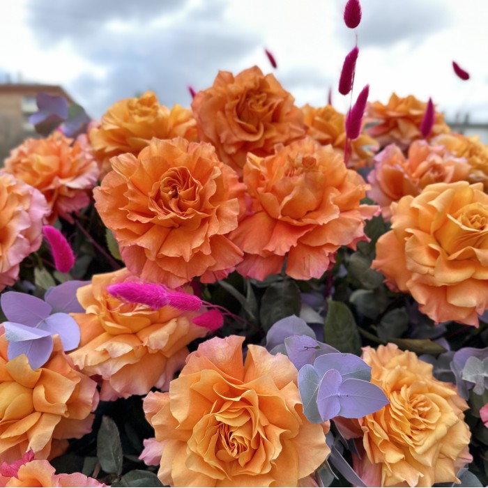 151 пышная оранжевая роза Фри Спирит в корзине