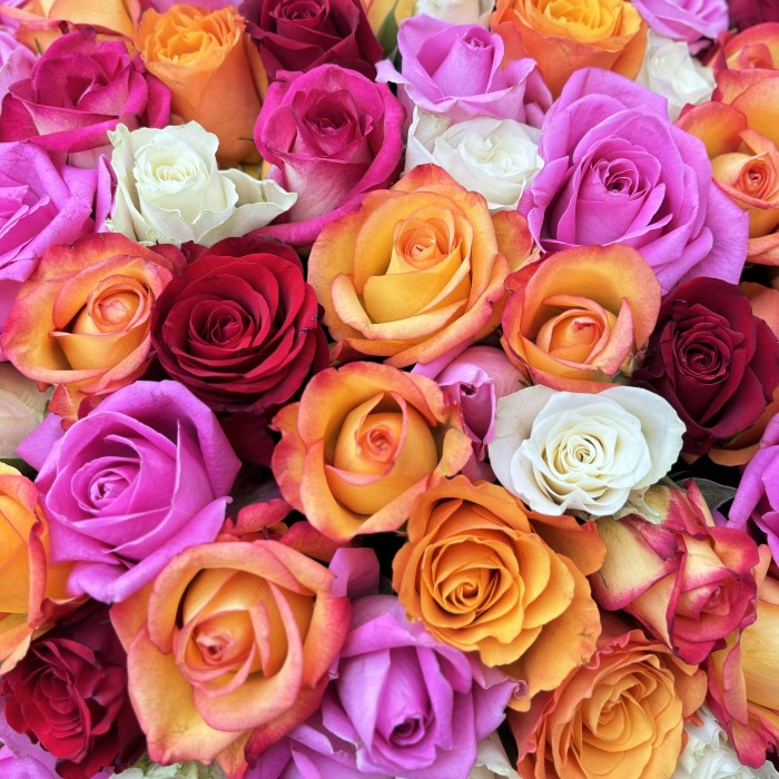 151 роза в коробке яркий микс