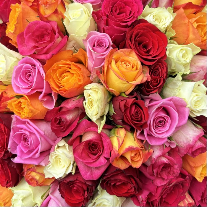 151 роза яркий микс в упаковке