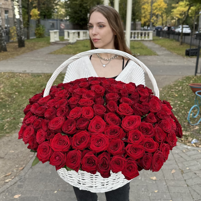 151 ароматная красная роза в корзине
