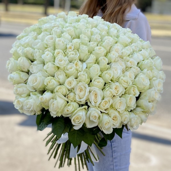 151 белая роза 60 см