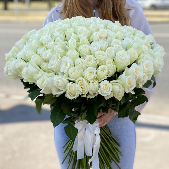 151 белая роза 60 см