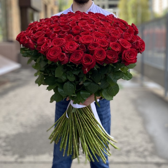151 красная роза Ред Наоми 90 см