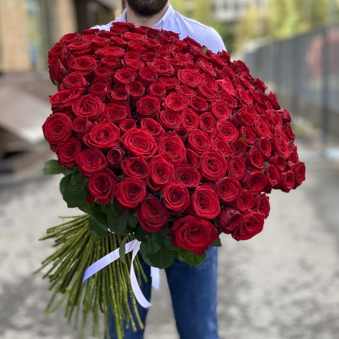 151 красная роза Ред Наоми 90 см