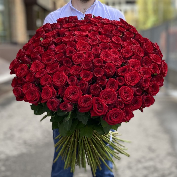 151 красная роза Ред Наоми 90 см