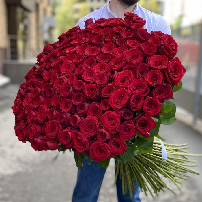 151 красная роза Ред Наоми 90 см
