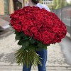 151 красная роза Ред Наоми 90 см