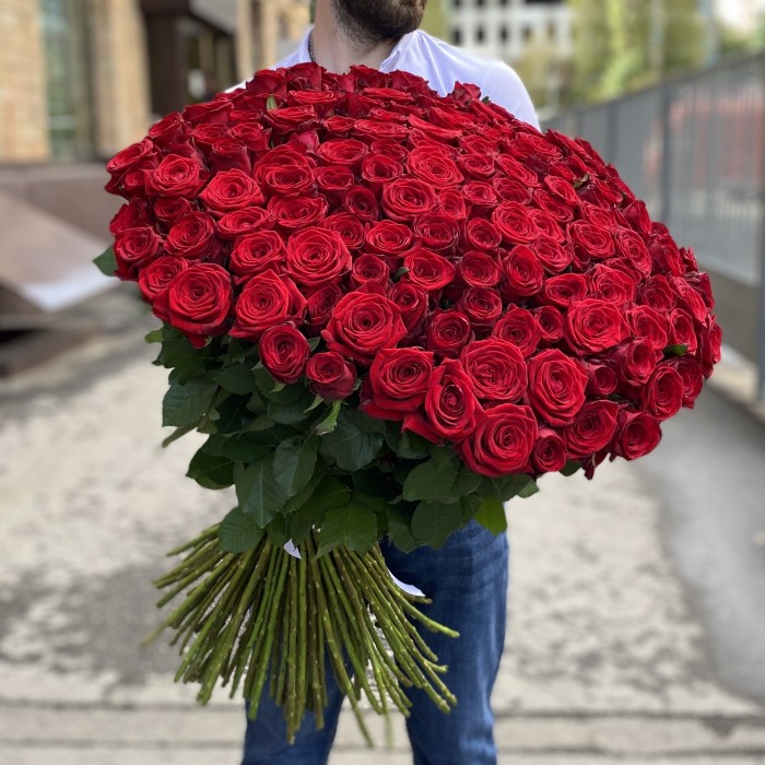 151 красная роза Ред Наоми 90 см