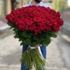 151 красная роза Ред Наоми 90 см