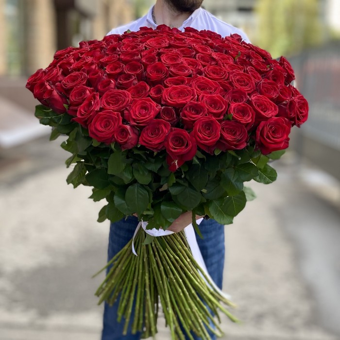 151 красная роза Ред Наоми 90 см