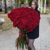 101 ароматная красная роза 130 см