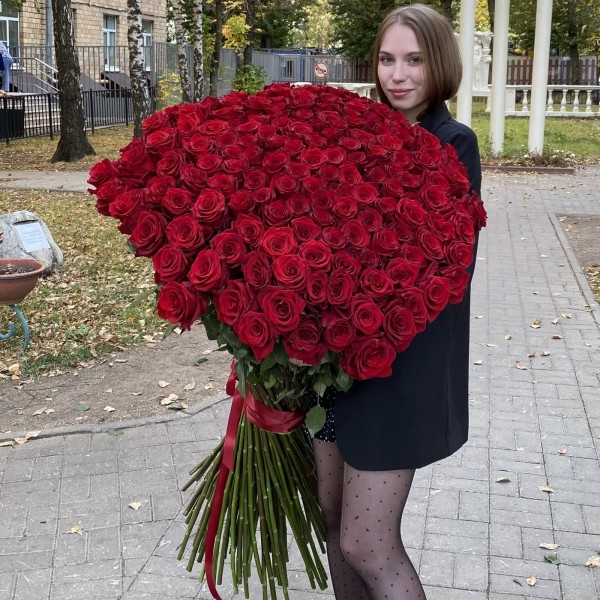101 ароматная красная роза 130 см
