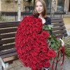 101 ароматная красная роза 130 см