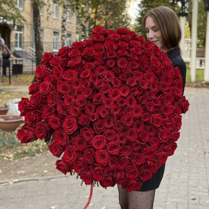 151 ароматная красная роза 130 см