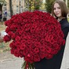 101 ароматная красная роза 130 см