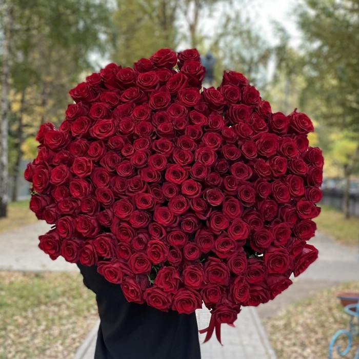 151 ароматная красная роза 120 см