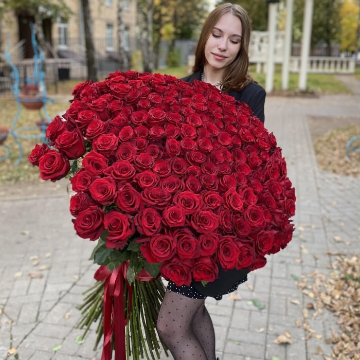 151 ароматная красная роза 130 см