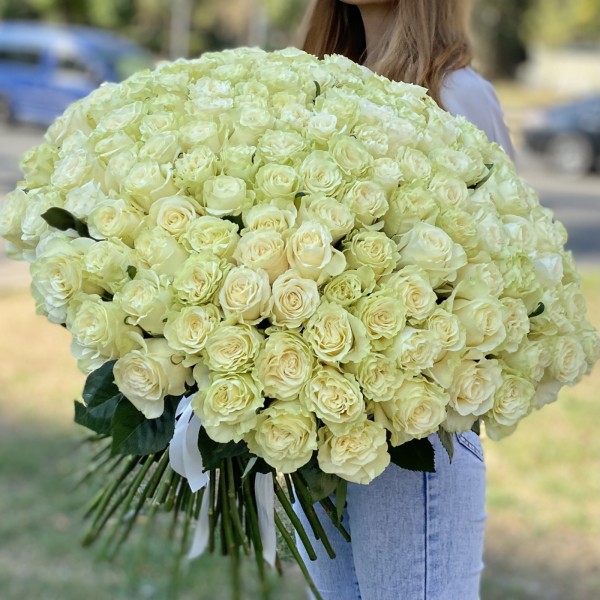 151 роза Мондиаль 60 см