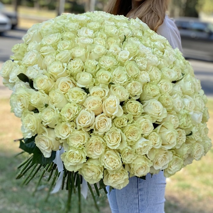 151 роза Мондиаль 60 см