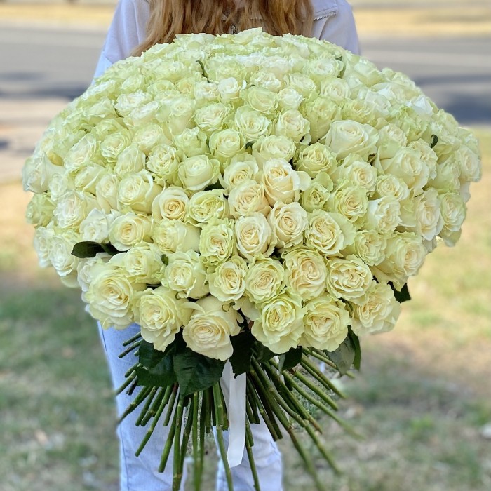 151 роза Мондиаль 60 см