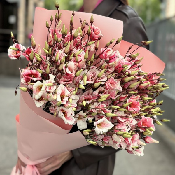 Букет из 15 бело-розовых крашеных эустом