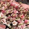 Букет из 15 бело-розовых крашеных эустом