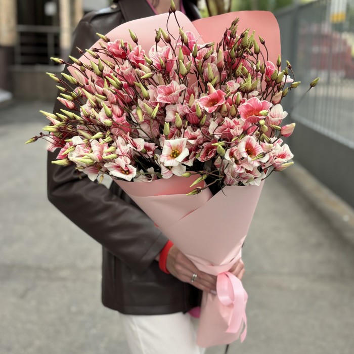 Букет из 15 бело-розовых крашеных эустом