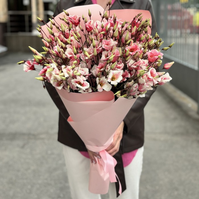 Букет из 15 бело-розовых крашеных эустом