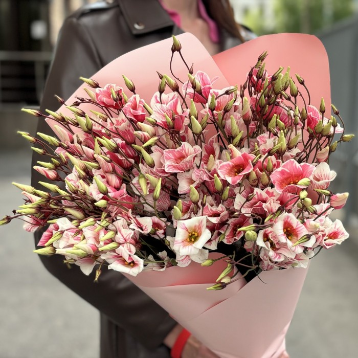 Букет из 15 бело-розовых крашеных эустом