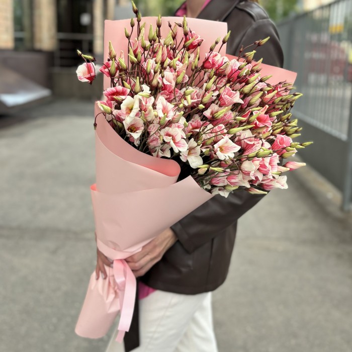 Букет из 15 бело-розовых крашеных эустом