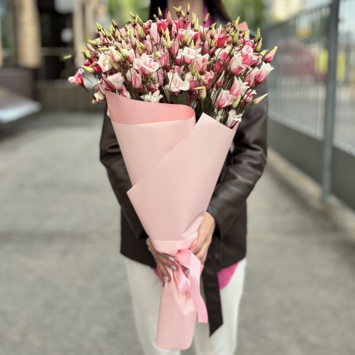 Букет из 15 бело-розовых крашеных эустом