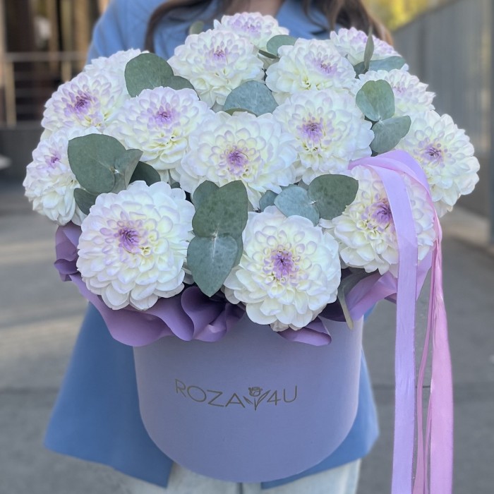 15 бело-сиреневых георгин с эвкалиптом в коробке