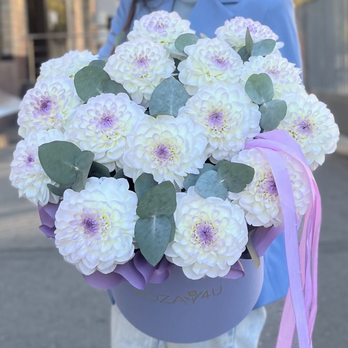 15 бело-сиреневых георгин с эвкалиптом в коробке
