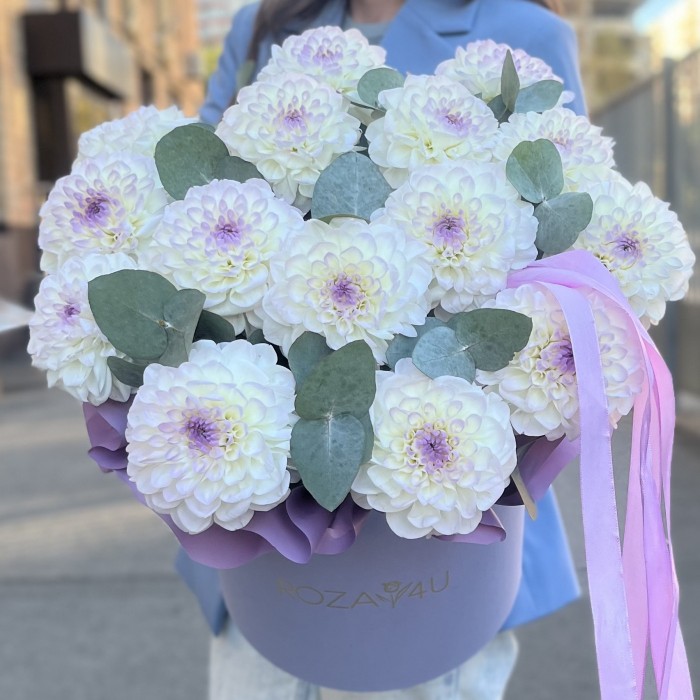 15 бело-сиреневых георгин с эвкалиптом в коробке