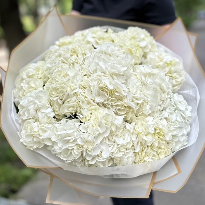 15 белых гортензий