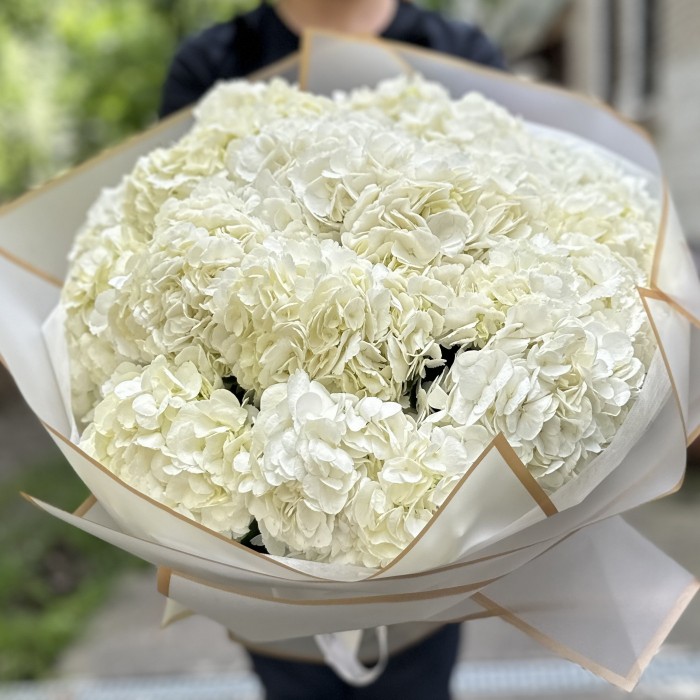 15 белых гортензий