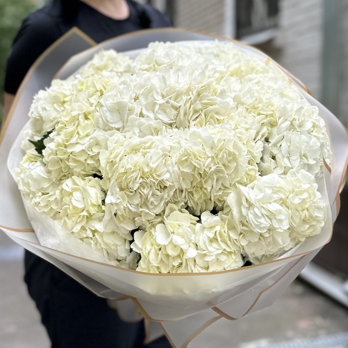 15 белых гортензий