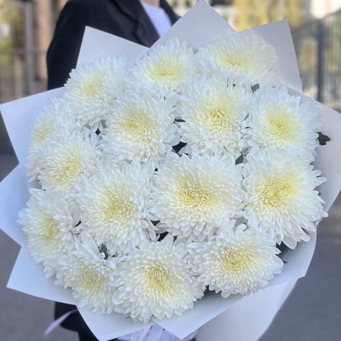 15 белых хризантем Магнум