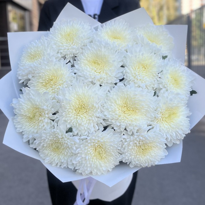 15 белых хризантем Магнум