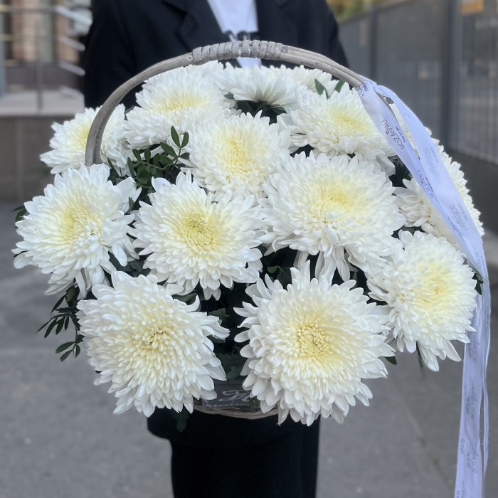 15 белых хризантем Магнум в корзине