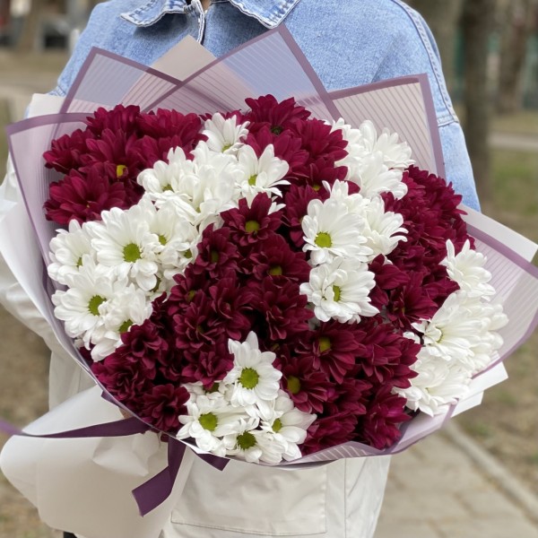 15 белых и фиолетовых кустовых хризантем