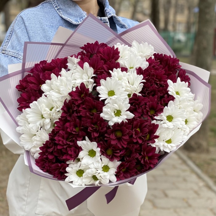 15 белых и фиолетовых кустовых хризантем
